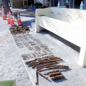 Nhật cảnh báo nguy hiểm tiềm ẩn ở sân trường